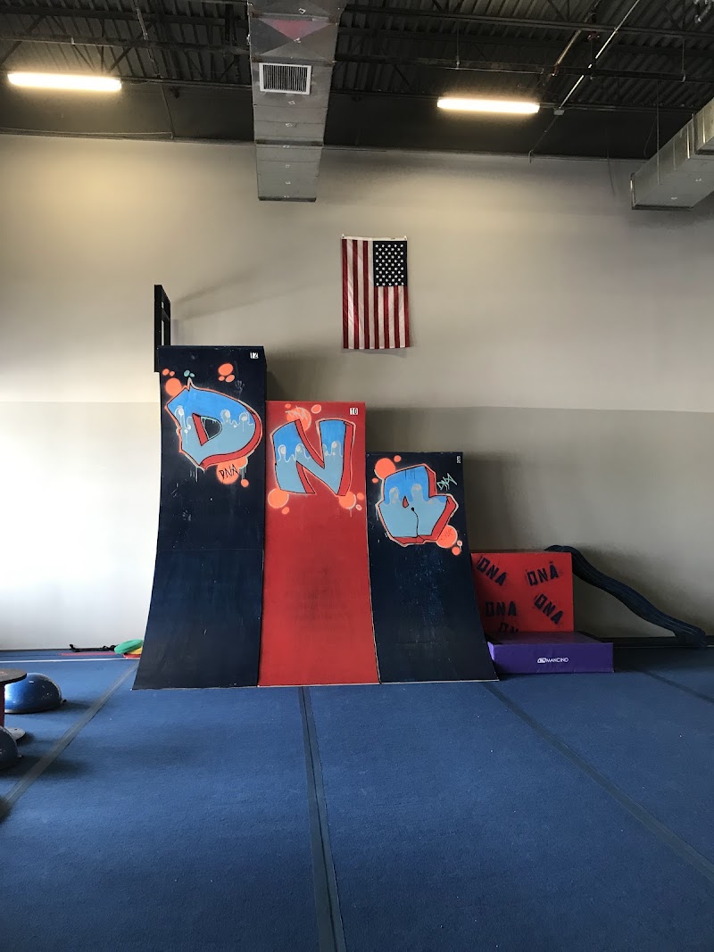 Downriver Gymnastcs photo 3