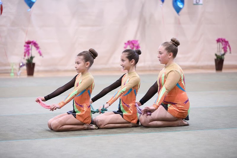 Valley Wide Elite Gymnastics photo 2