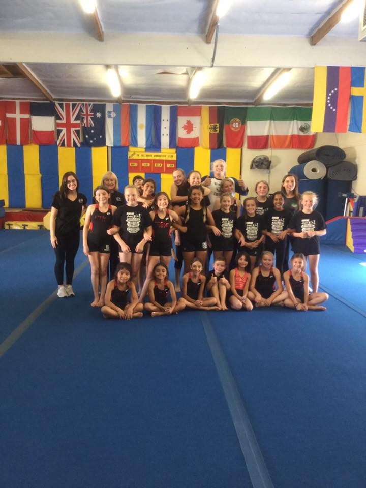 Valley Wide Elite Gymnastics photo 3