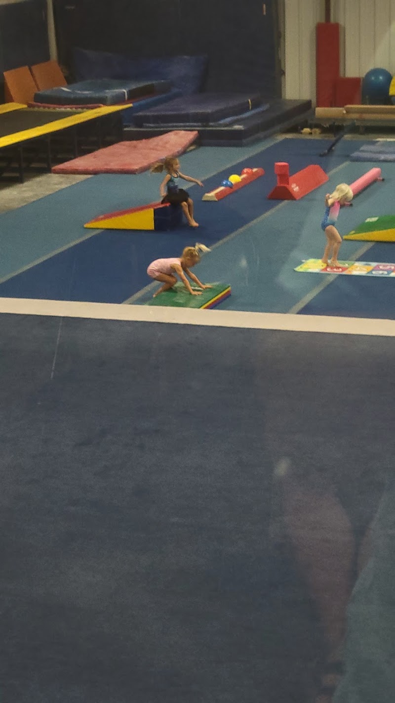 Apex Gymnastics photo 2