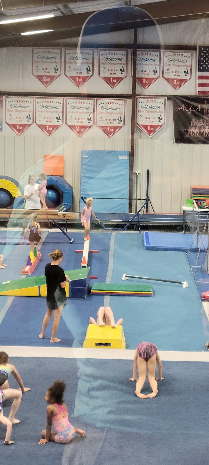 Apex Gymnastics photo 3