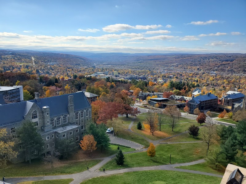 Cornell University photo 3