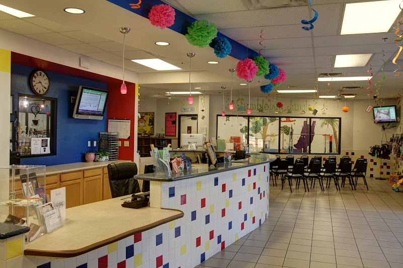 Aspire Kids Sports Center photo 3
