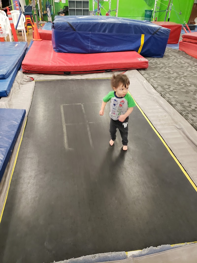 Gymnastics Northwest photo 3