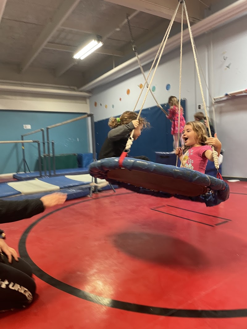 Vancouver Elite Gymnastics Academy photo 3