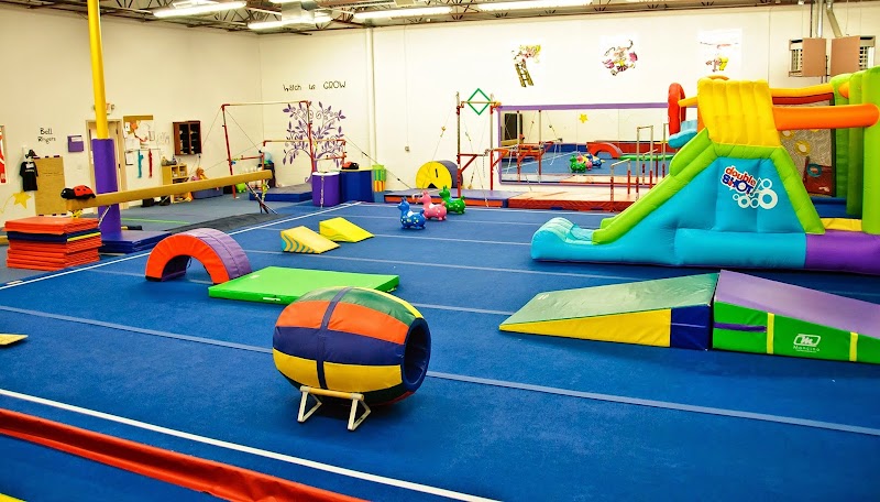 Flippers Gym Program photo 2