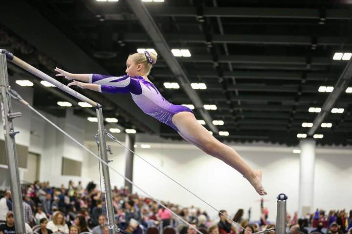 Stoughton Gymnastics Team