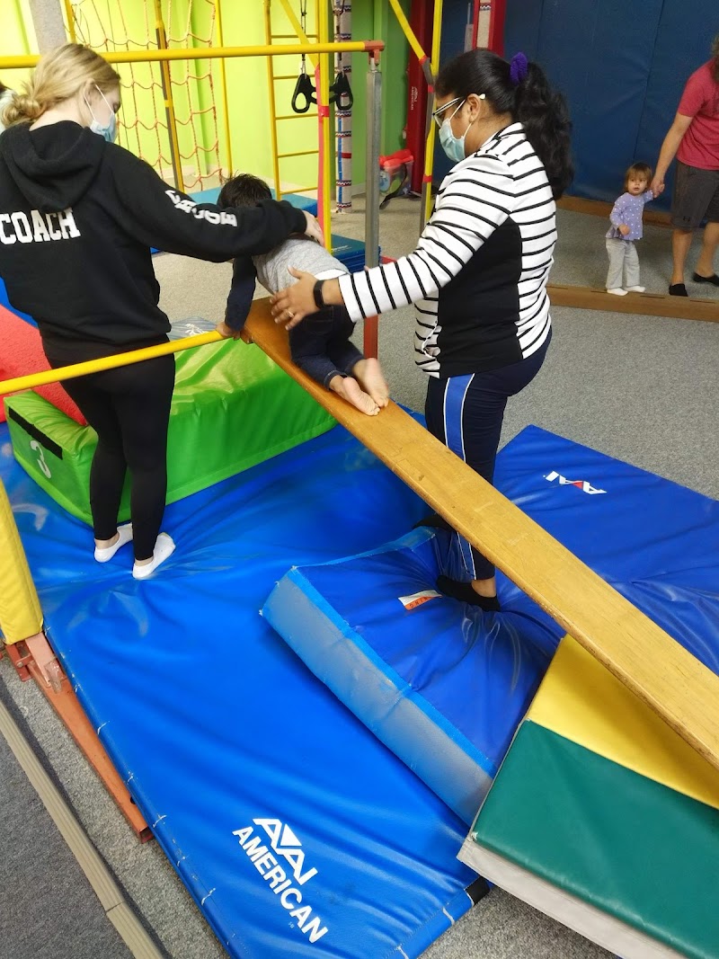 Gymnastic Academy of Boston photo 3