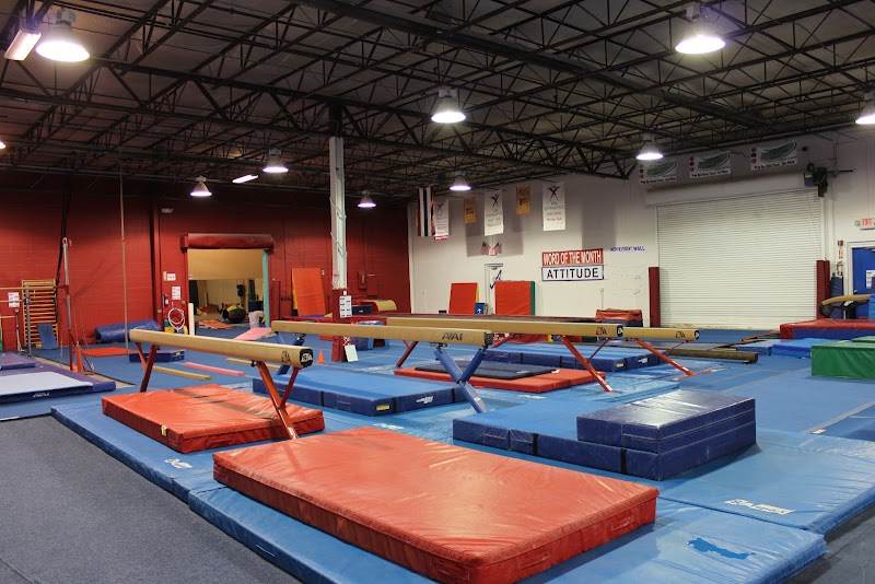 American Allstars Gymnastics Academy