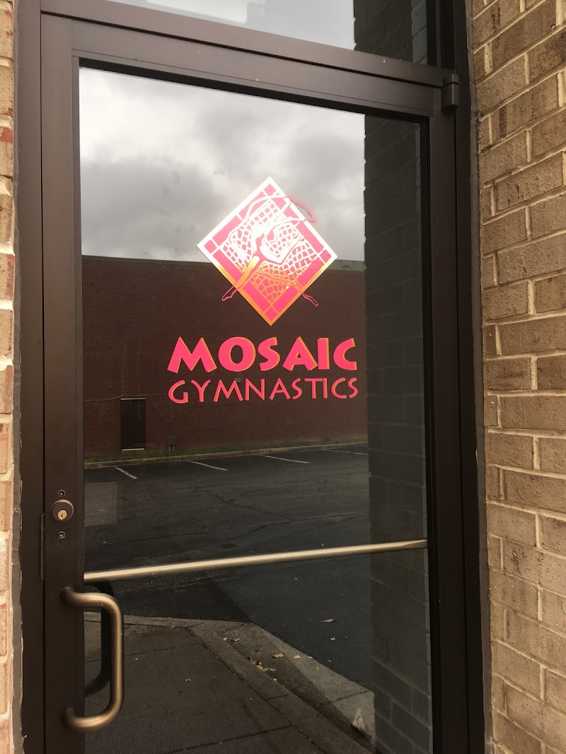 Mosaic Gymnastics photo 3