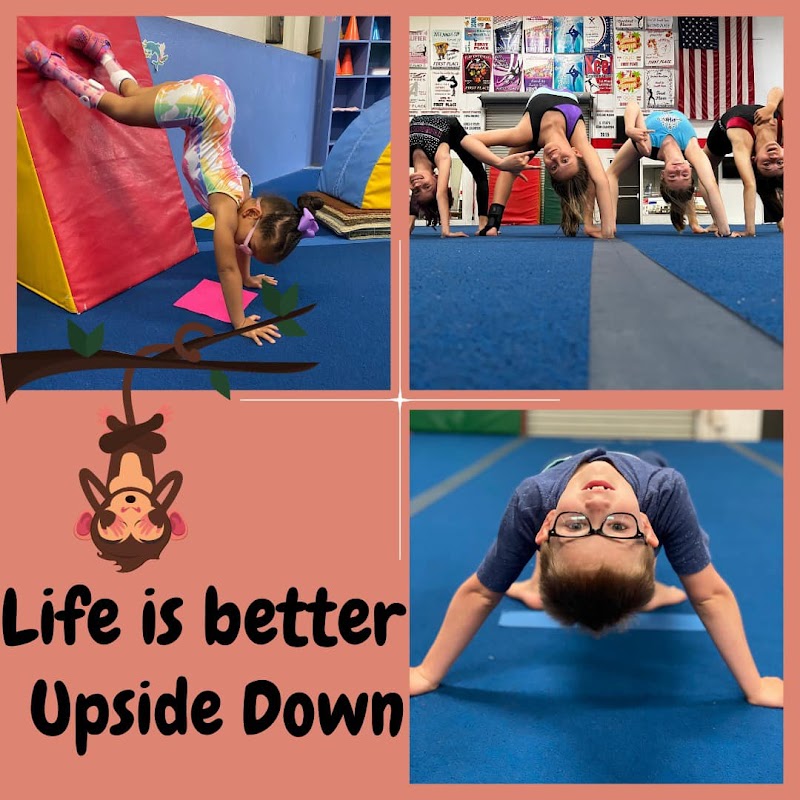 Sunburst Gymnastics photo 3