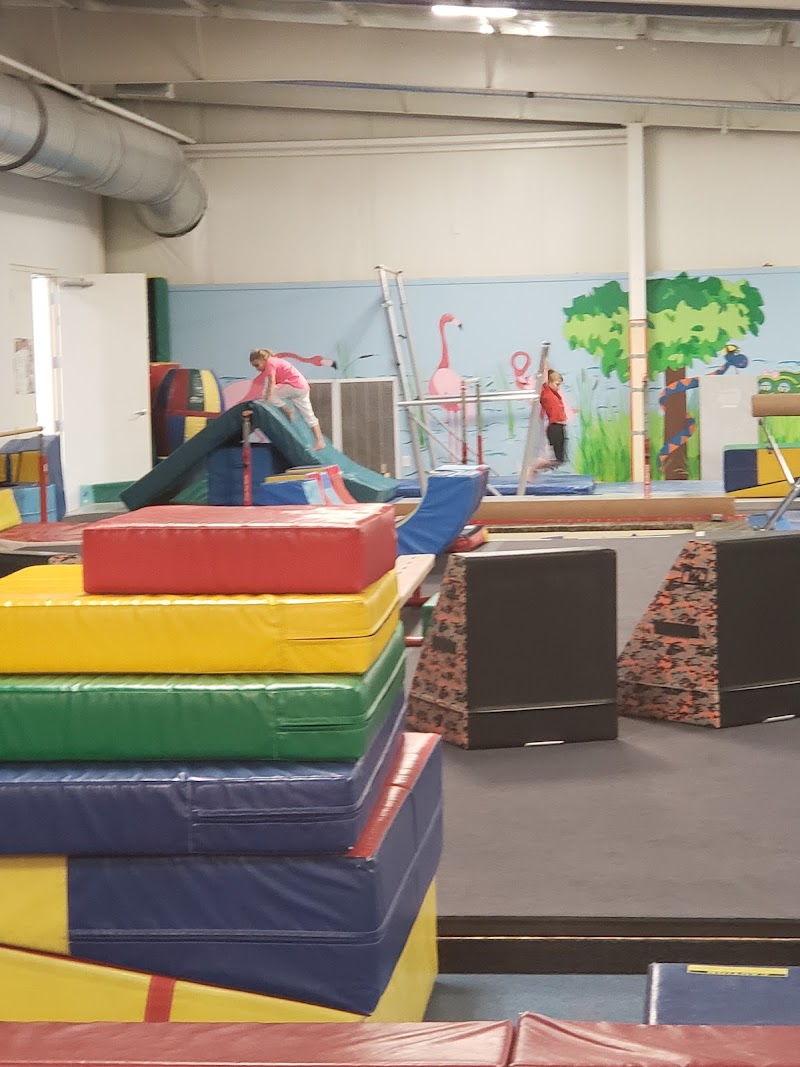 Twisters Gymnastics