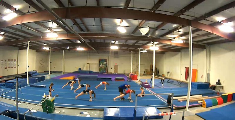 Elevate Gymnastics & Athletics photo 3
