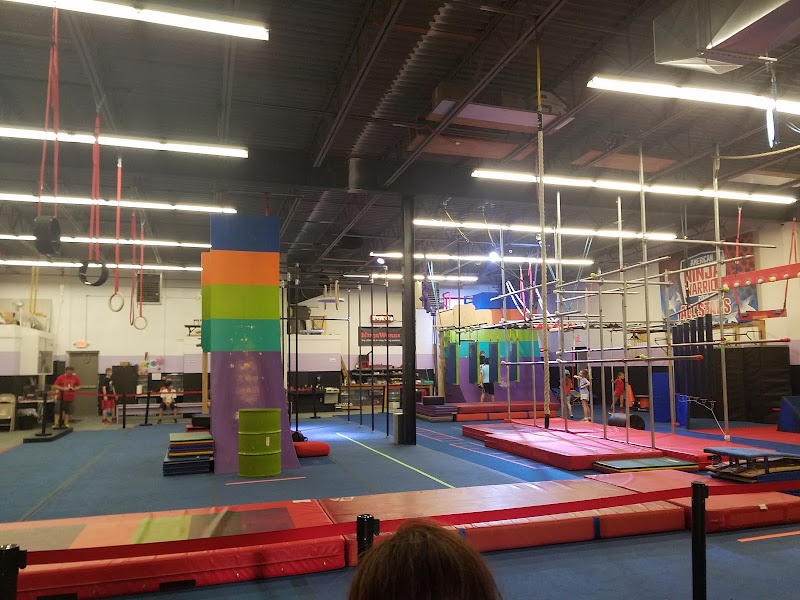 New Era Gymnastics photo 2