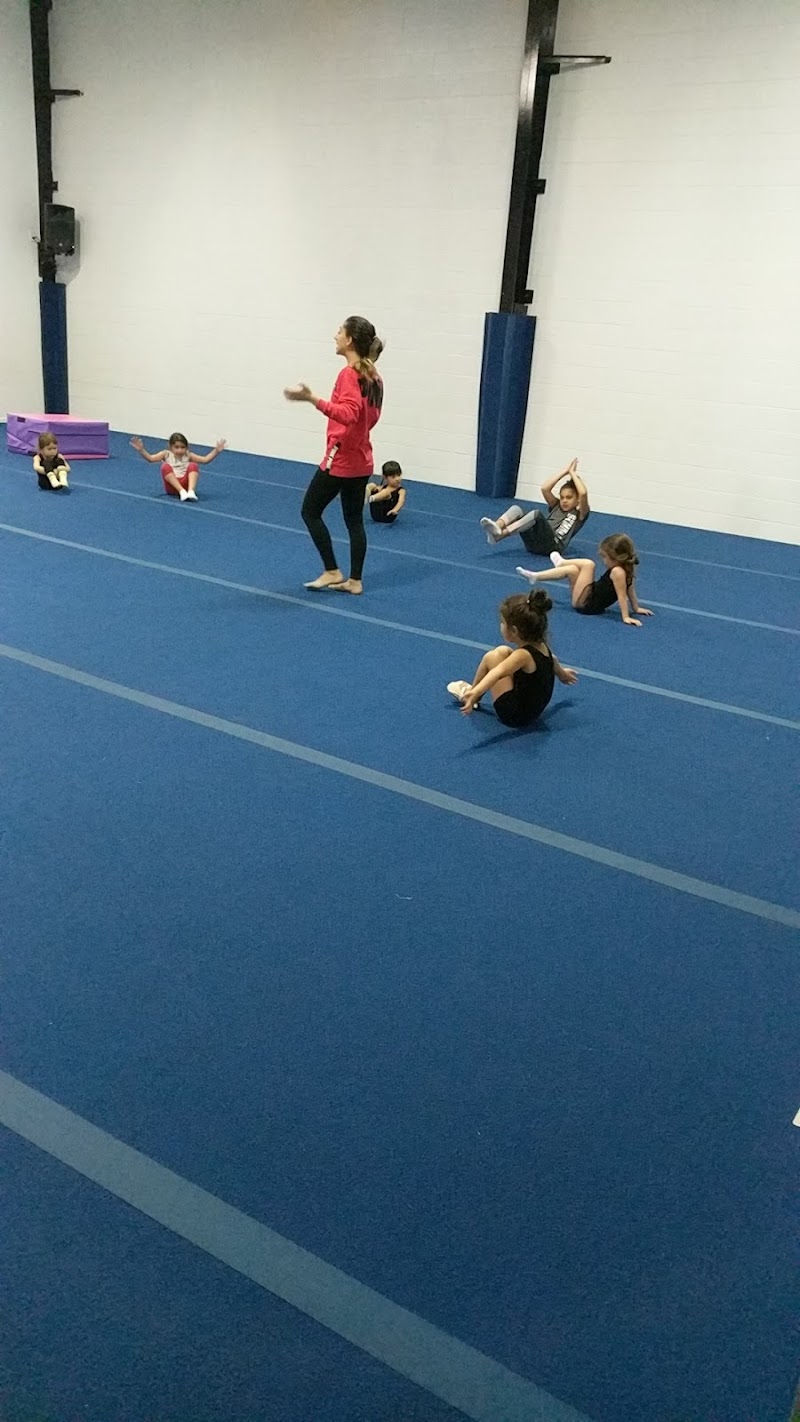 DeAnis Rhythmic Gymnastics Academy photo 3