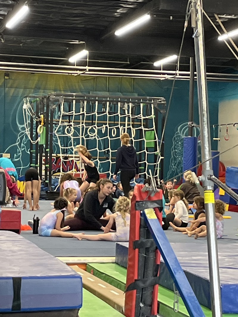 Gold Coast Gymnastics photo 2