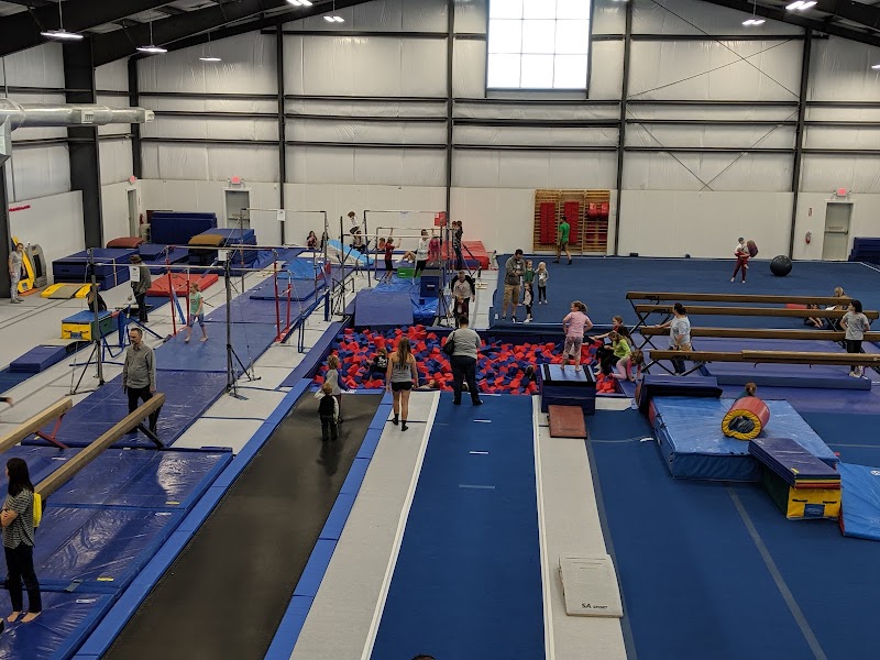Moxie Gymnastics and Cheer photo 2