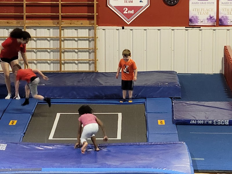 Elite Gymnastics and Cheer LLC photo 3