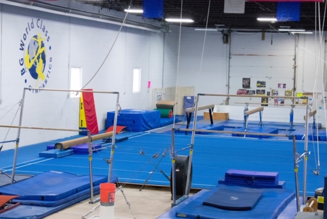 BG World Class Gymnastics LLC