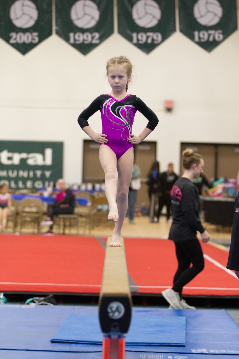 Veritas Gymnastics Academy photo 2