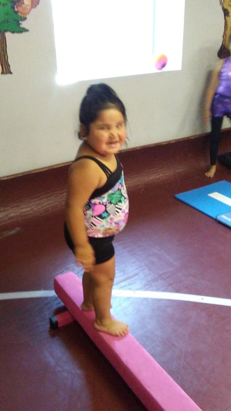 Northern Dreams Gymnastics photo 2