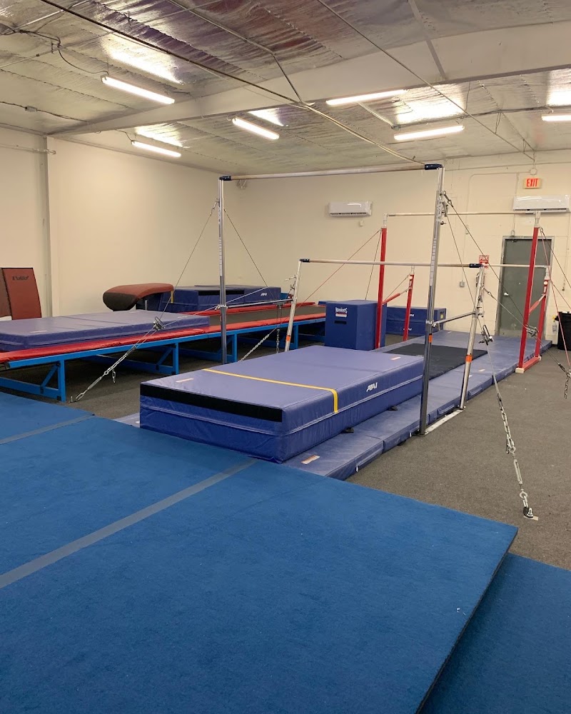 Next Level Gymnastics LLC photo 2