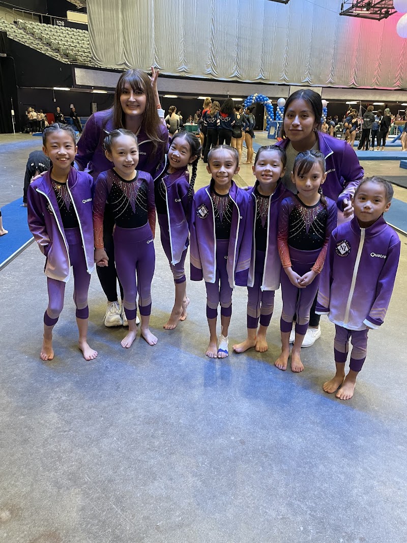 Next Level Gymnastics LLC photo 3
