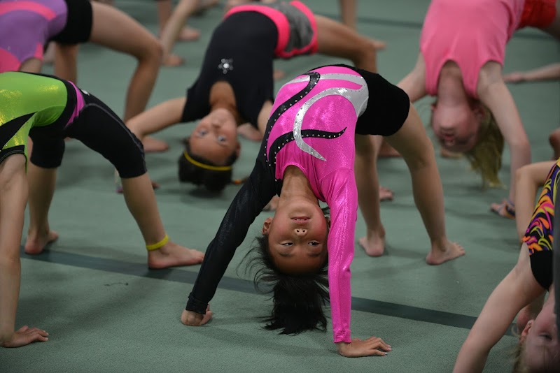 Mountain Kids Gymnastics & Dance