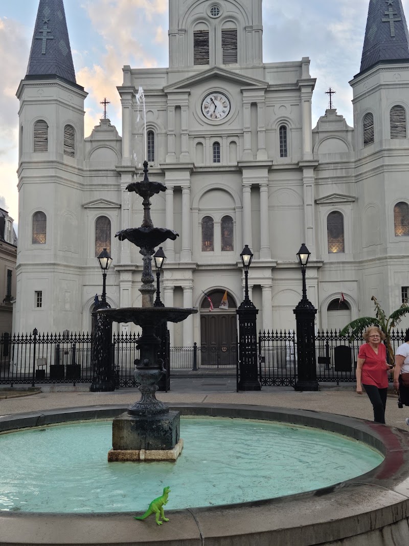 NOLA photo 2