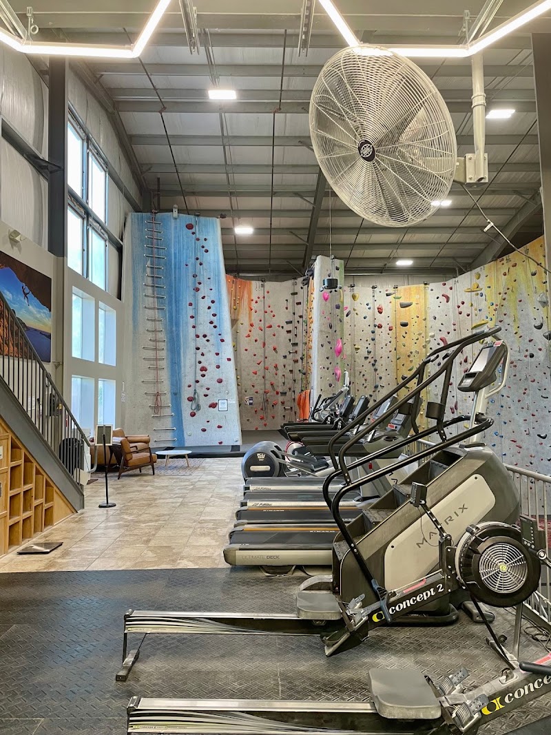 Central Rock Gym - Worcester photo 3
