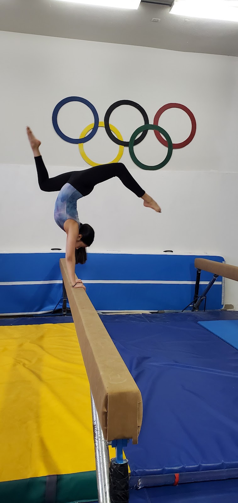 Gymnastics North photo 2