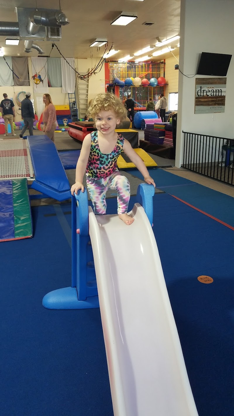Gymnastics North photo 3