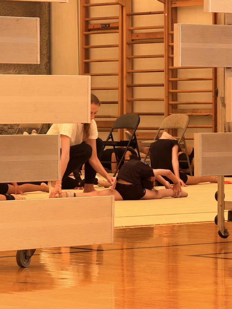Pacific Stars Rhythmic Academy