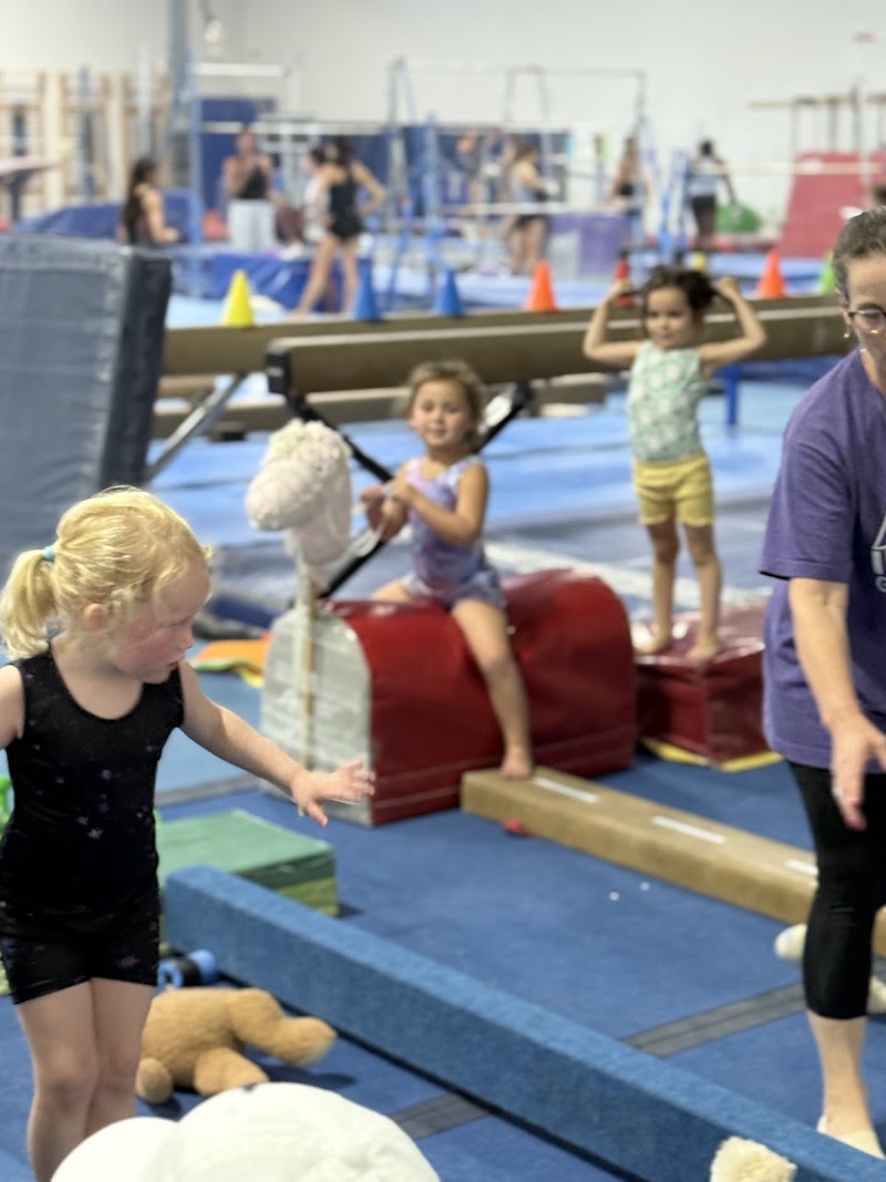 Incline Gymnastics Training Center photo 2