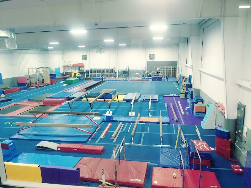 Pinnacle Gymnastics photo 2