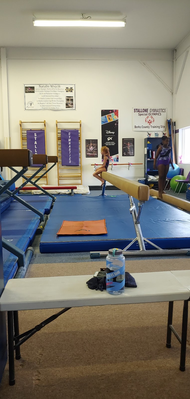 Funtastic Gymnastics Inc.