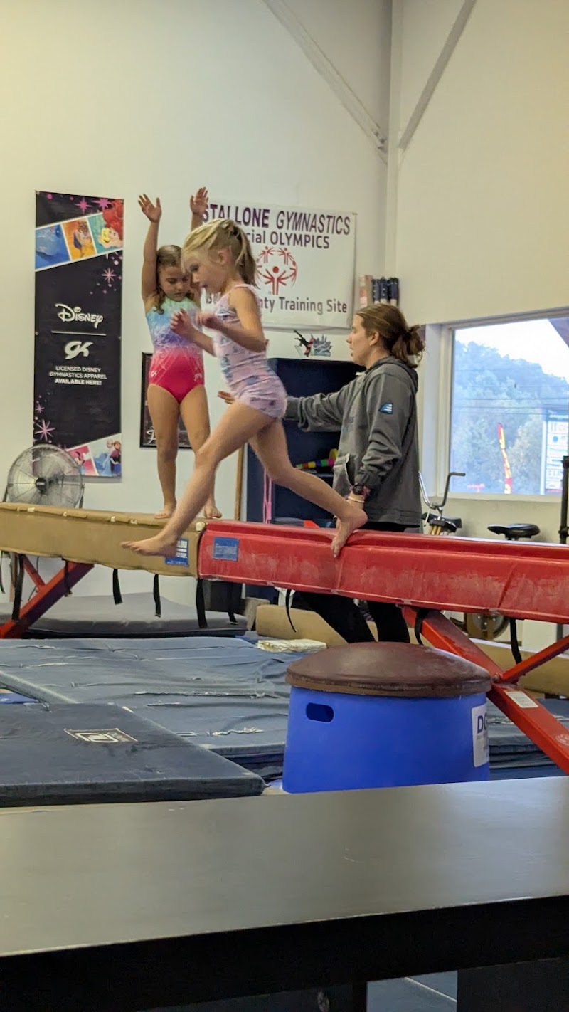 Funtastic Gymnastics Inc. photo 3
