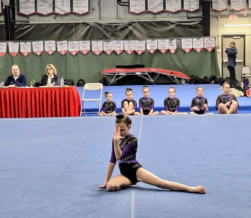 Precision Elite Gymnastics photo 2