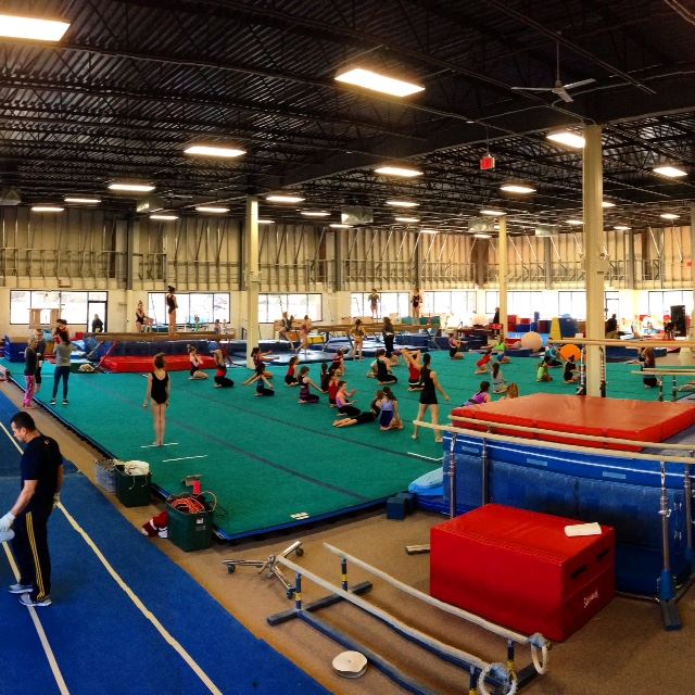 Will-Moor School of Gymnastics