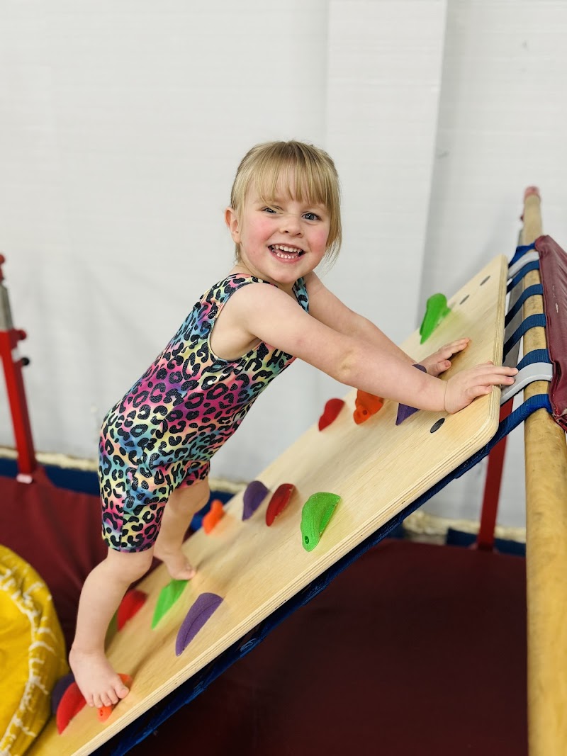 Gymnast Factory photo 3