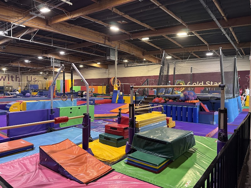 Gold Star Gymnastics LLC