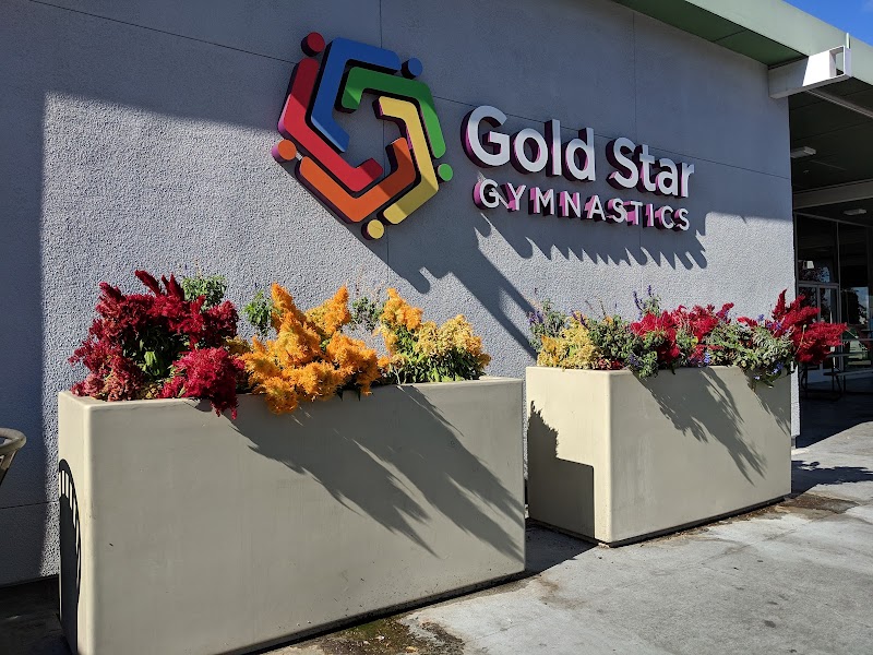 Gold Star Gymnastics LLC photo 2