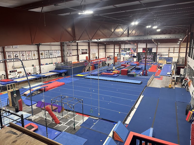 One World Gymnastics