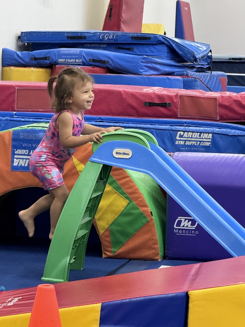 Lee County Gymnastics photo 3