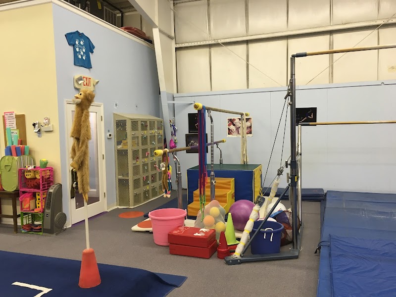Acrosport photo 2