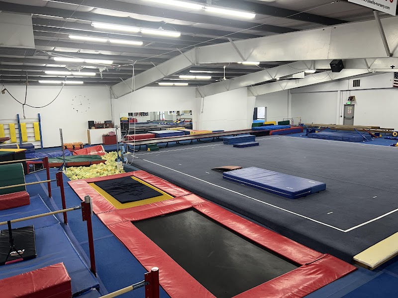 Gymnastics Plus