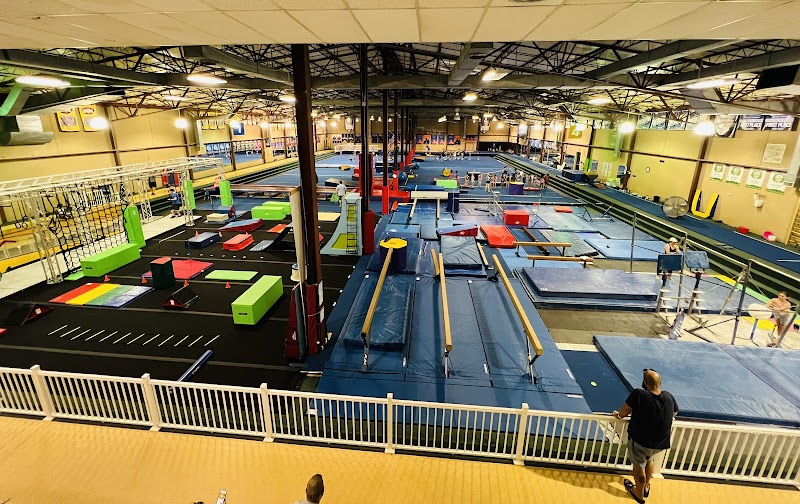 American Elite Gymnastics photo 2