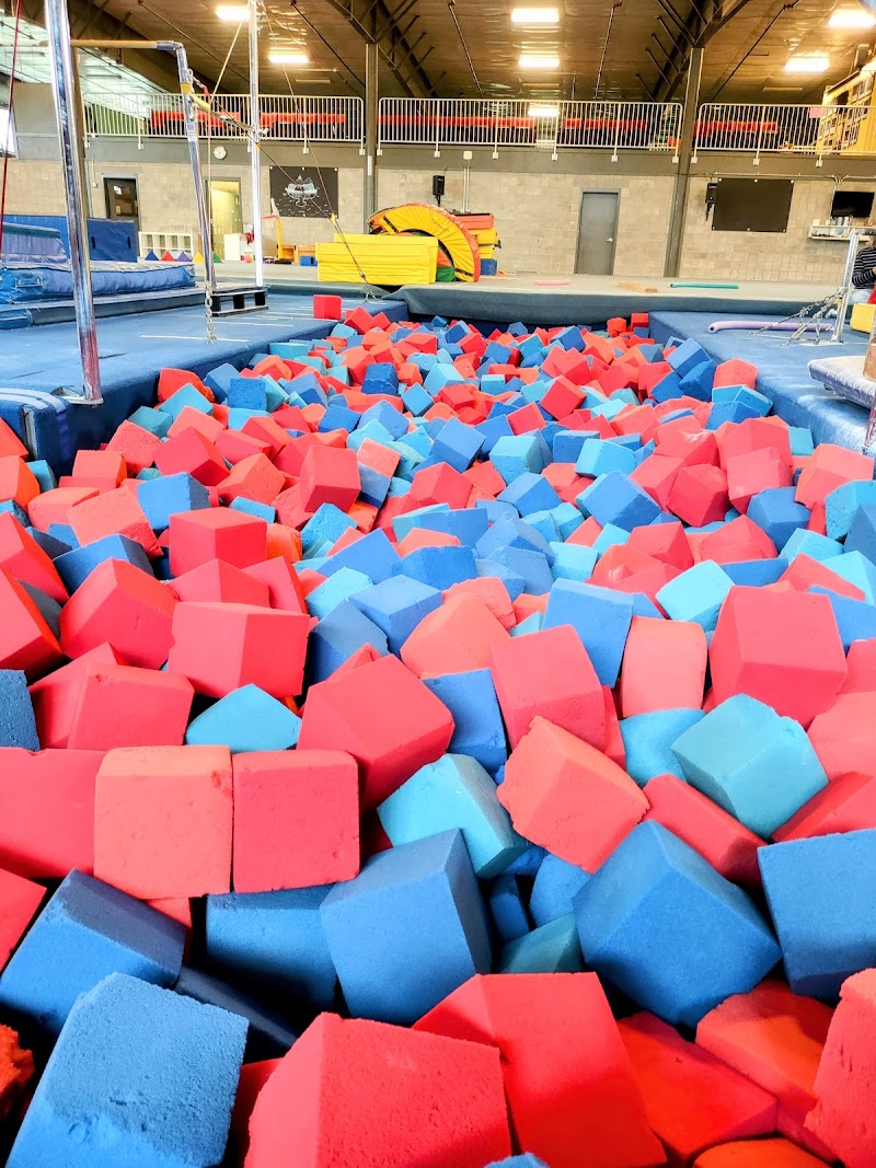 Bloomington United Gymnastics School