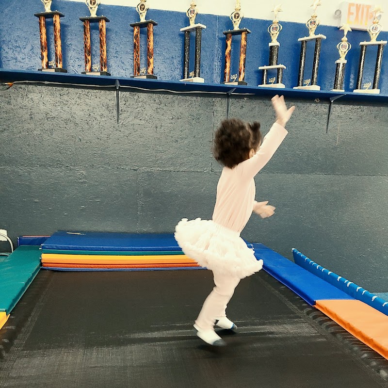 J and J Tumbling and Trampoline Team photo 3