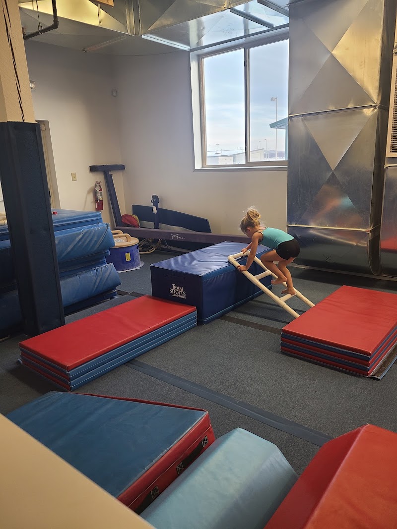 Performance Elite Gymnastics photo 2